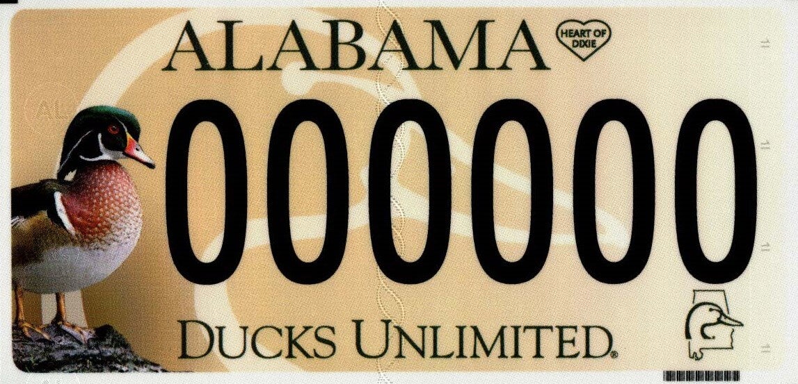 Ducks Unlimited  Arkansas Environmental Education Association